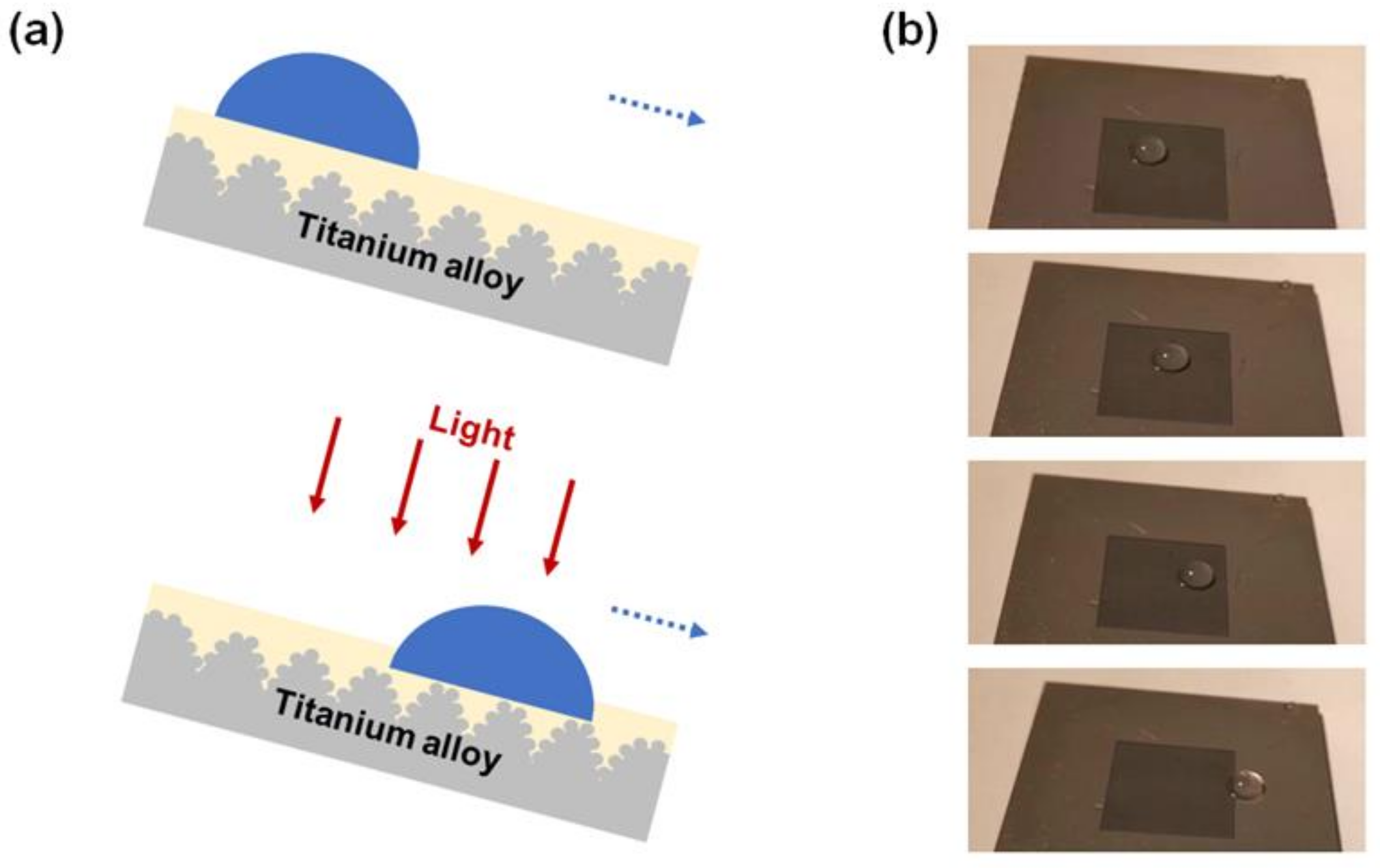 Applsci 12 00608 g008