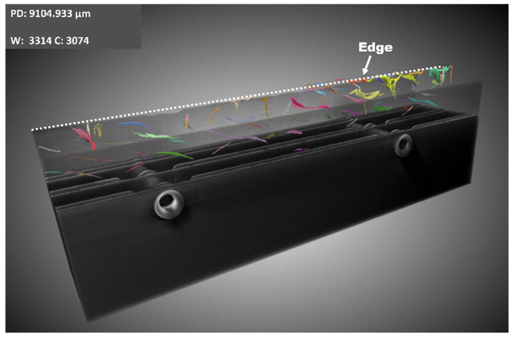 Applsci 12 00640 g006