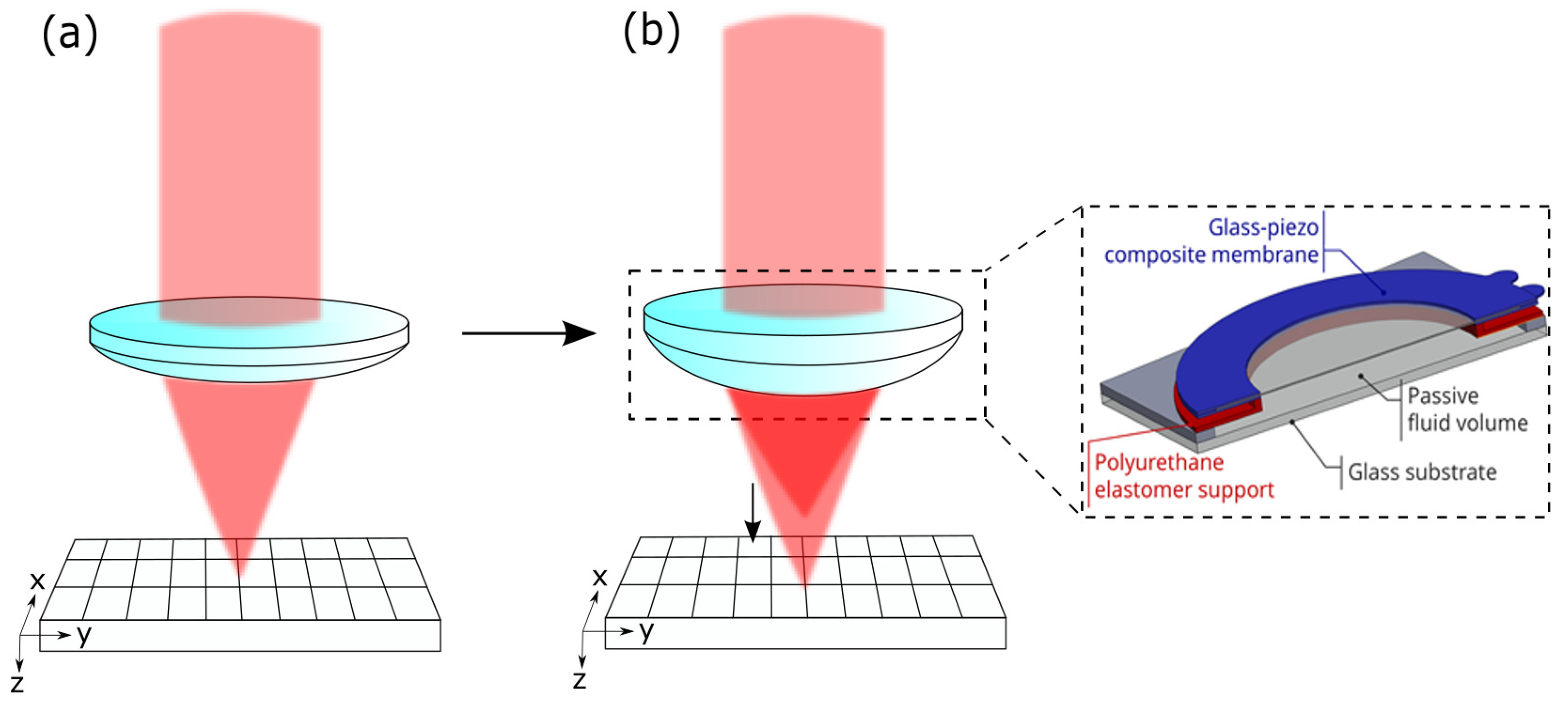 Applsci 12 00661 g002