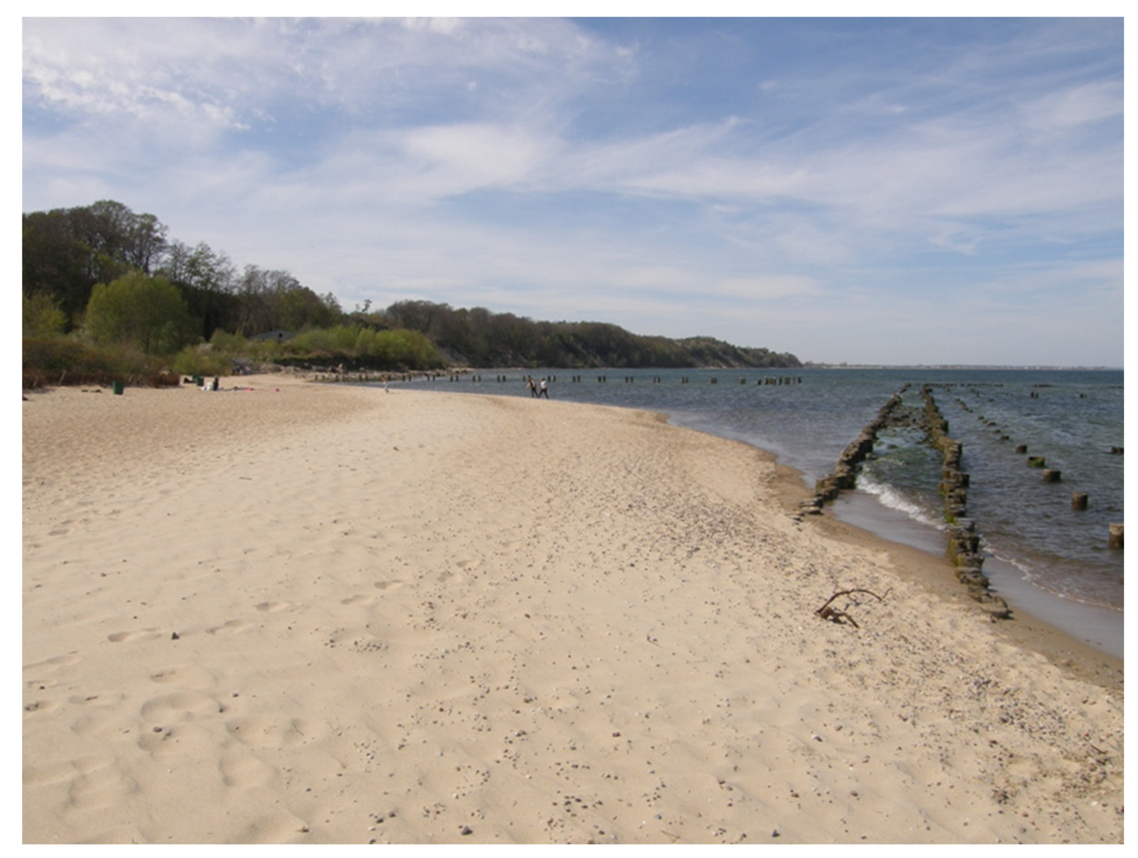 Applsci 12 00668 g004