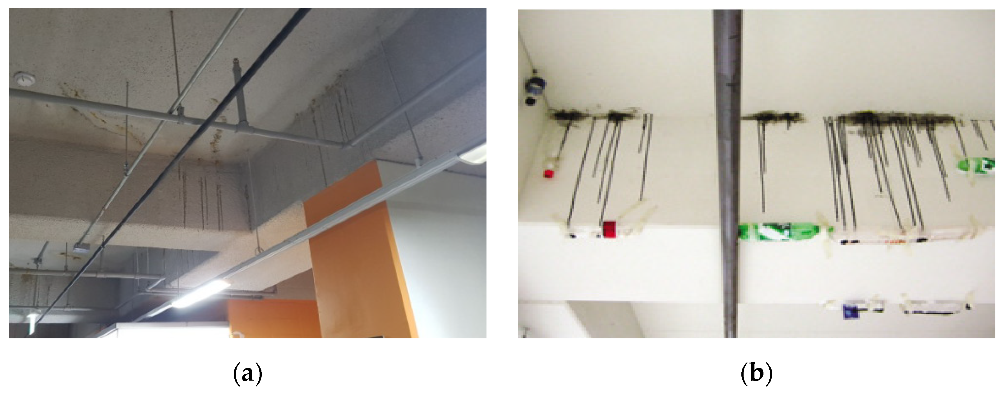 Applsci 12 00690 g001