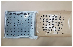 Applsci 12 00690 i018