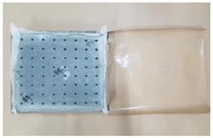 Applsci 12 00690 i019