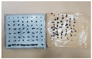 Applsci 12 00690 i020