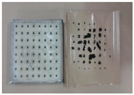 Applsci 12 00690 i022