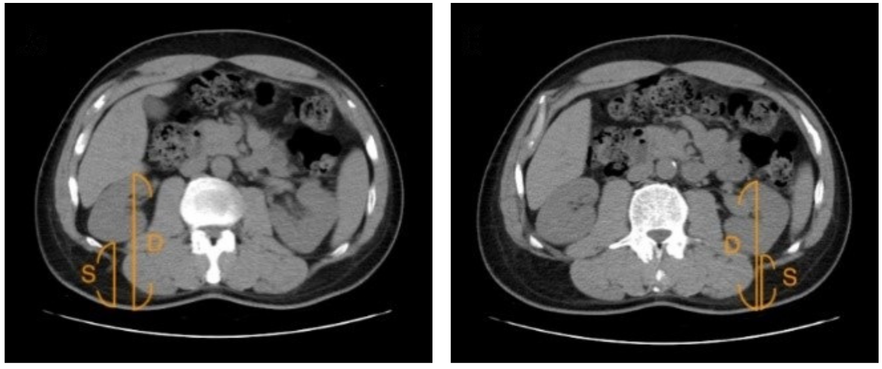 Applsci 12 00698 g002