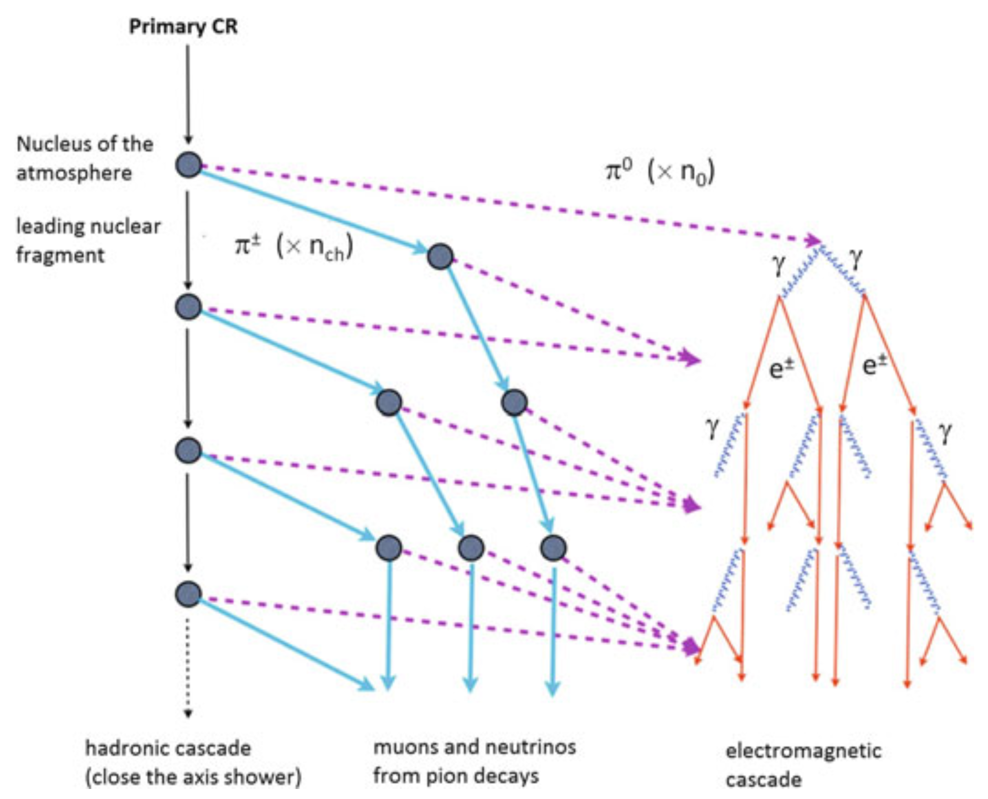 Applsci 12 00705 g003