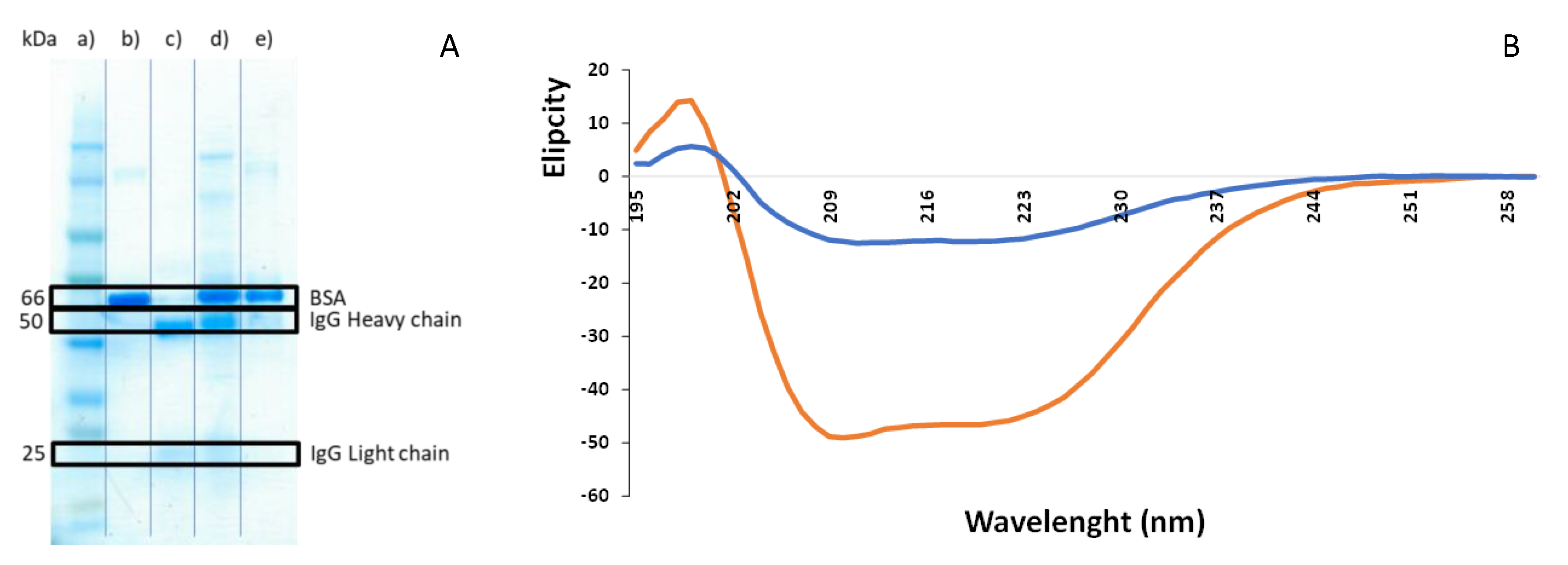 Applsci 12 00707 g005