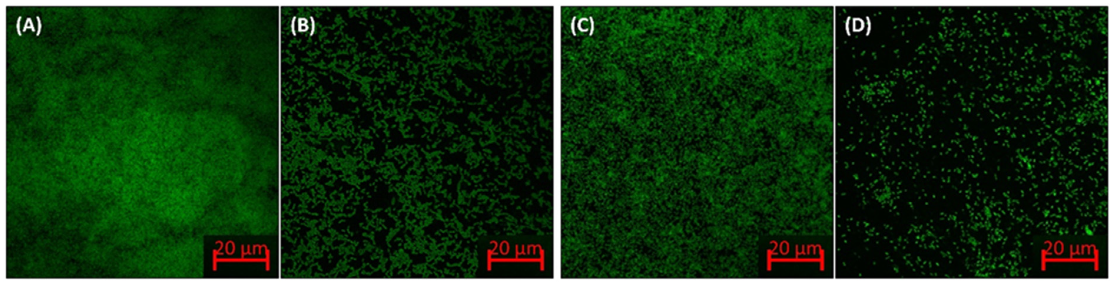 Applsci 12 00710 g005