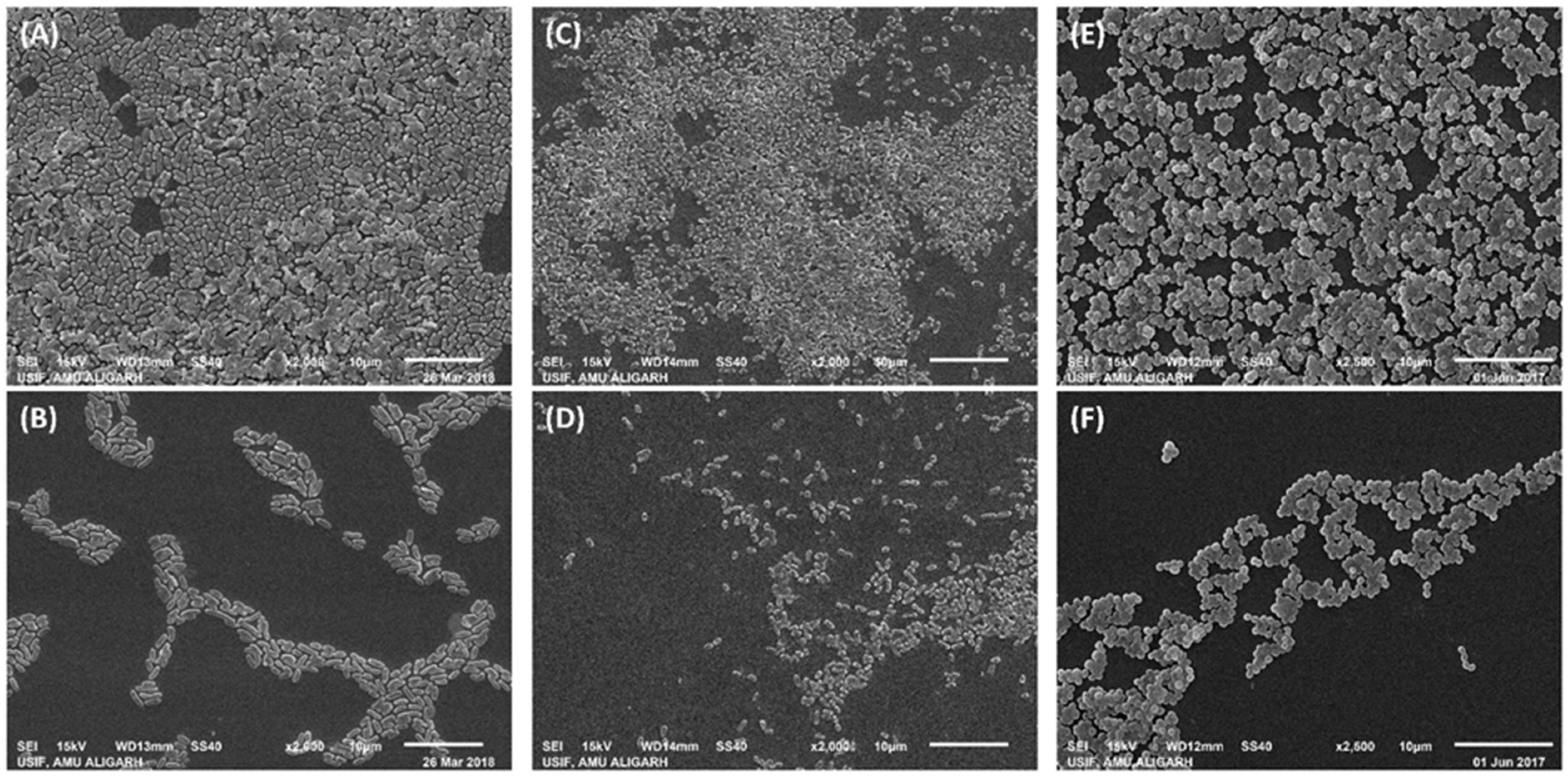 Applsci 12 00710 g006