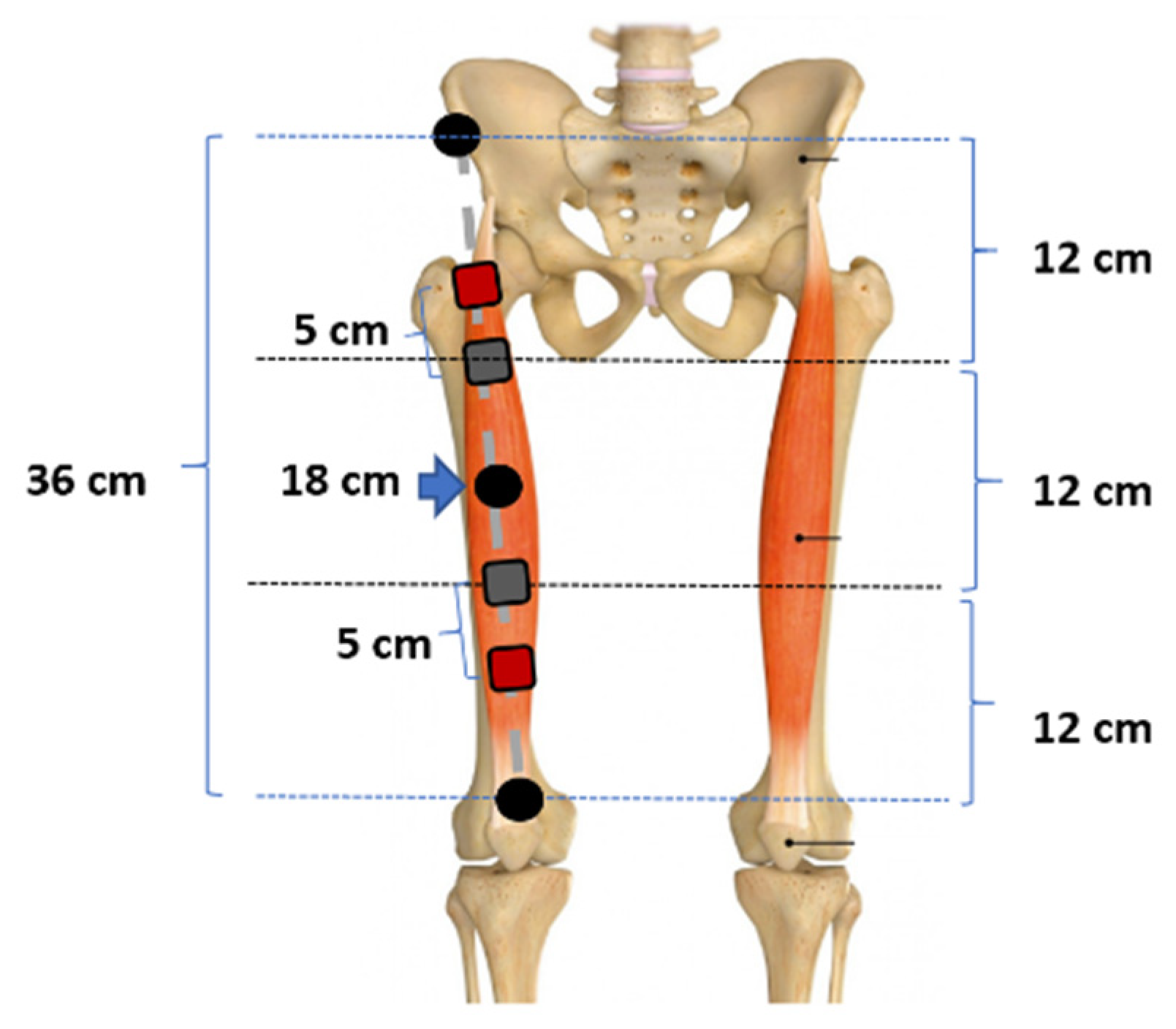 Applsci 12 00751 g001