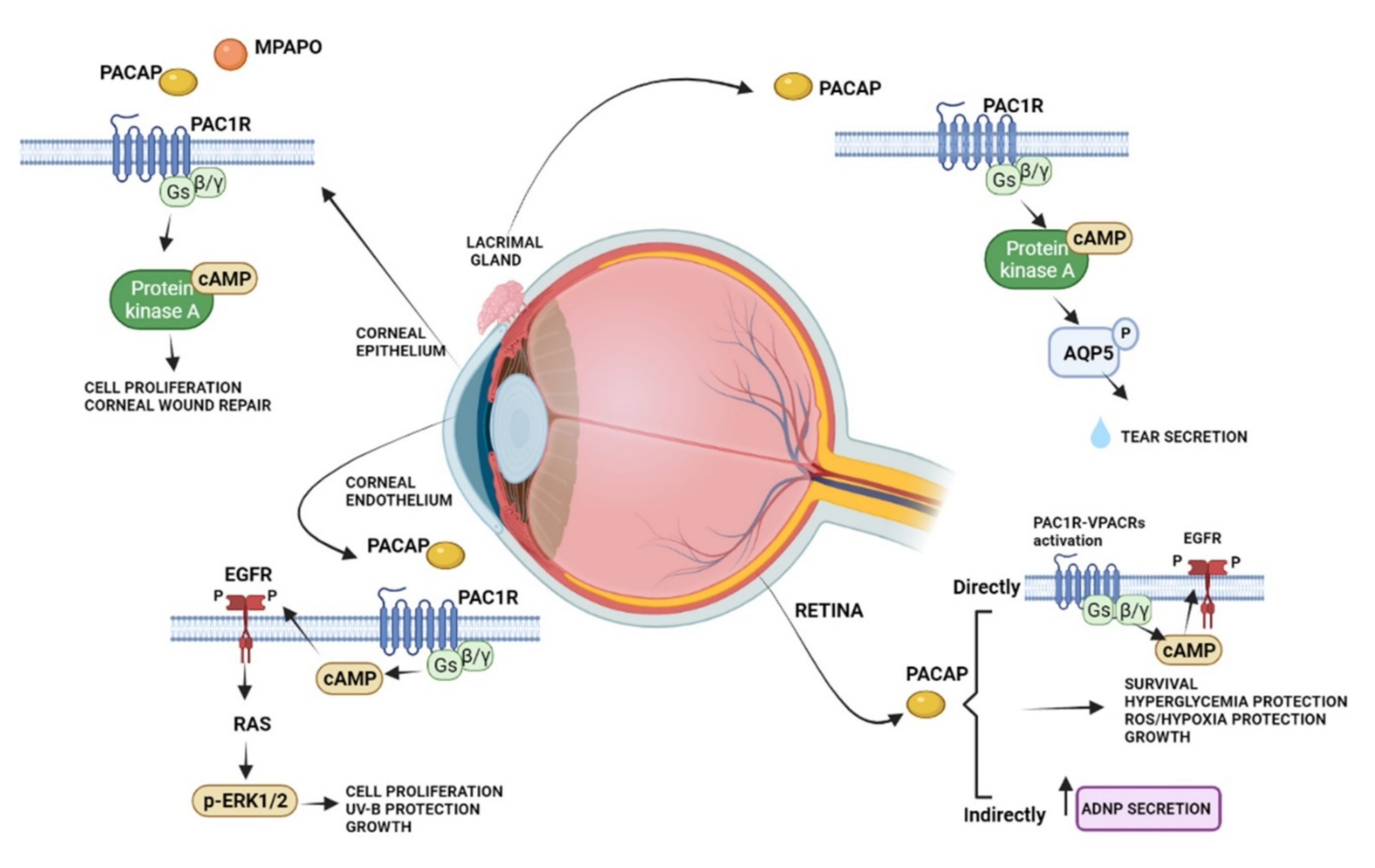 Applsci 12 00760 g002
