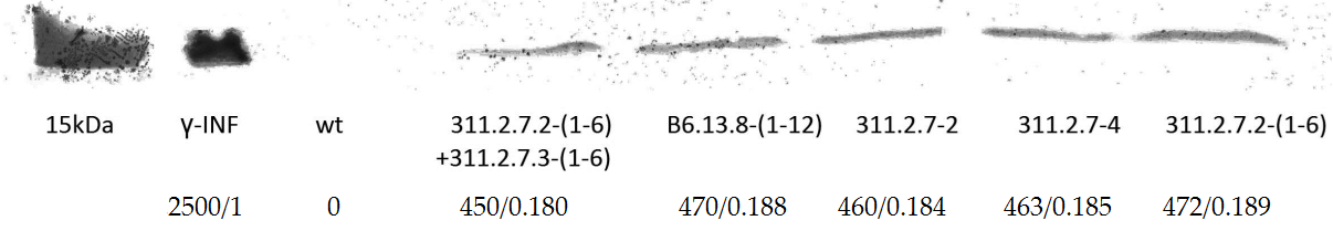 Applsci 12 00761 g001