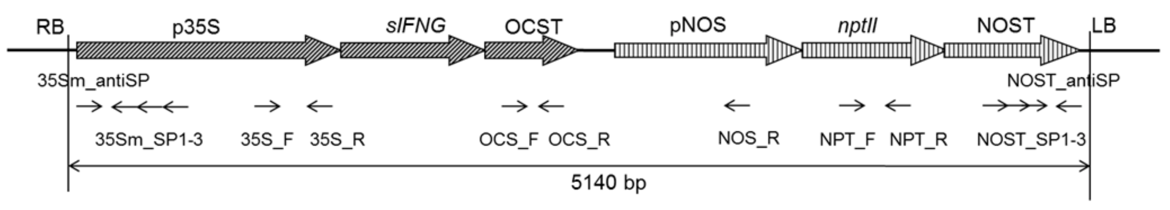 Applsci 12 00761 g003