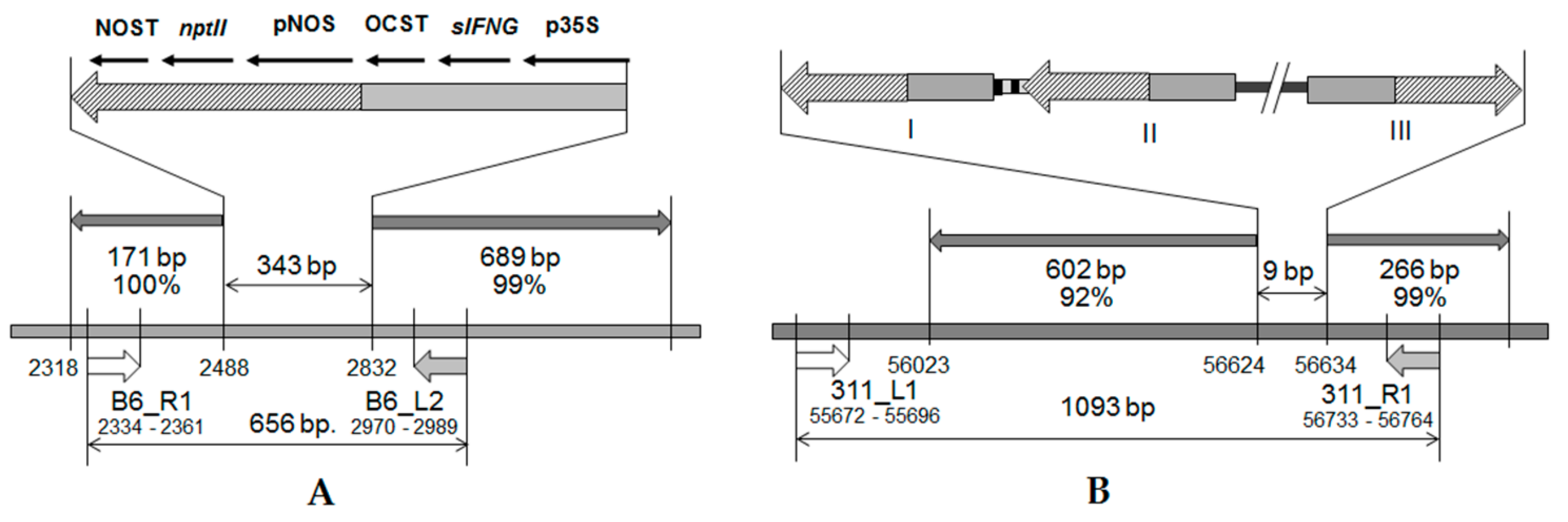 Applsci 12 00761 g004
