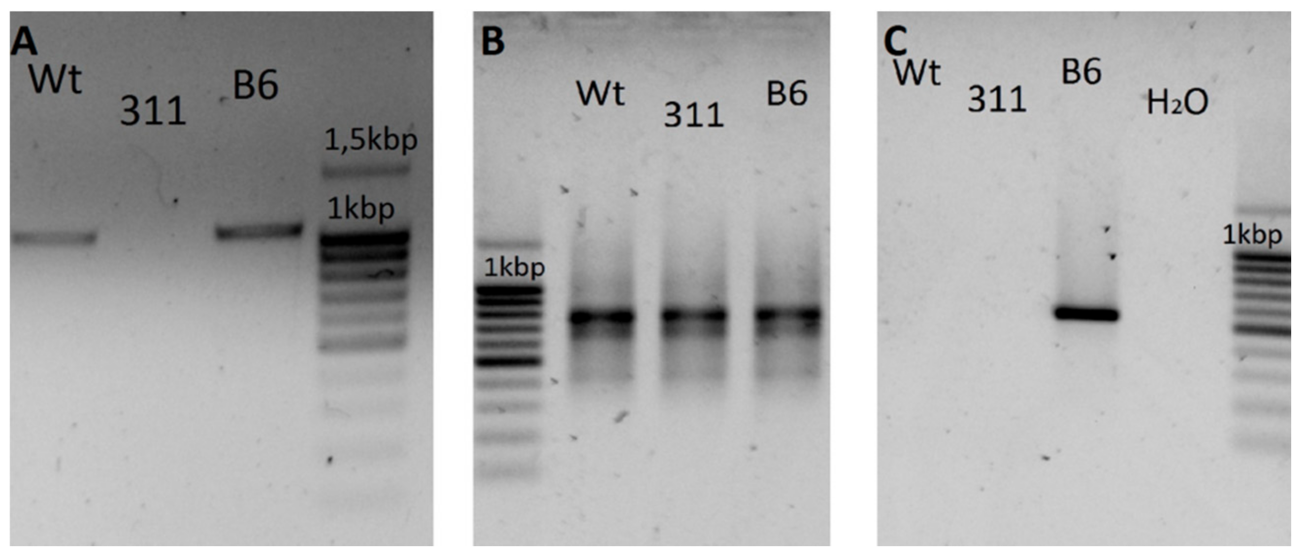 Applsci 12 00761 g005