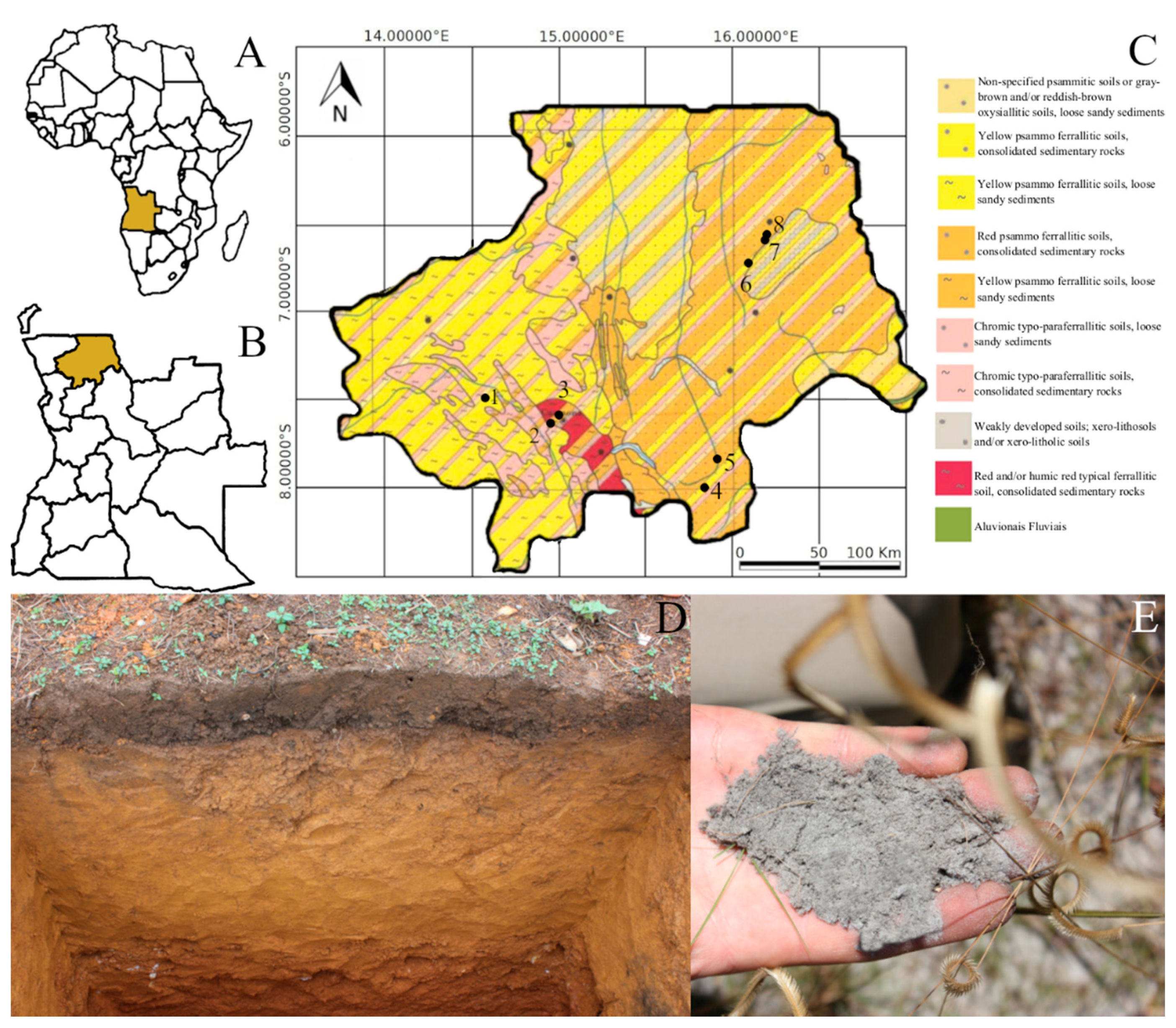 Applsci 12 00792 g001