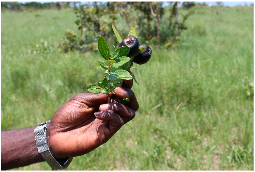 Applsci 12 00792 i001