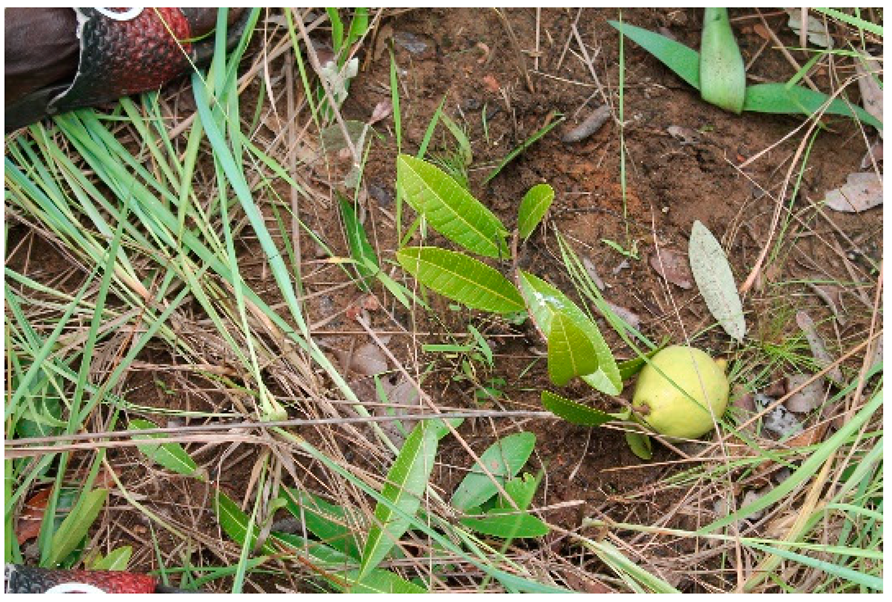 Applsci 12 00792 i003