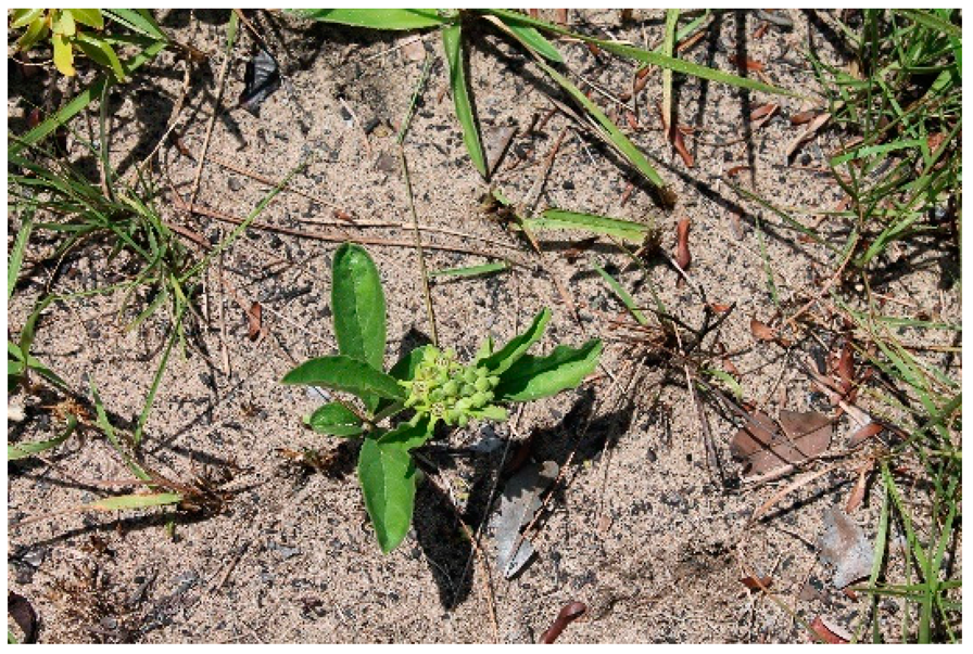 Applsci 12 00792 i004