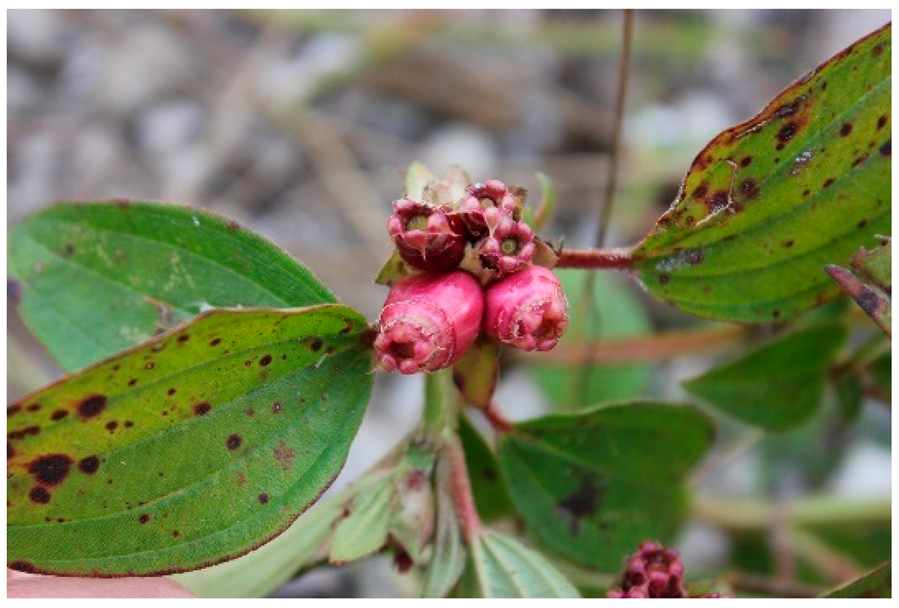 Applsci 12 00792 i007