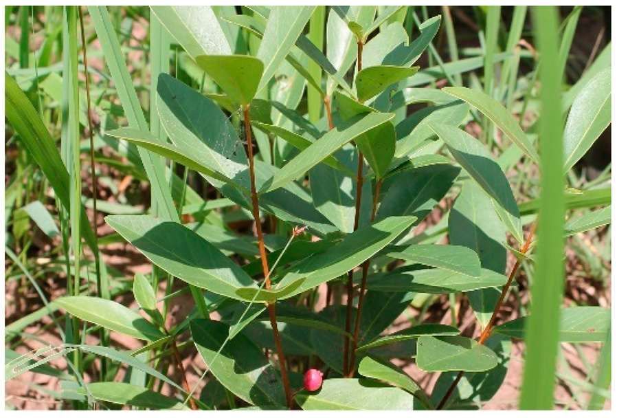 Applsci 12 00792 i008