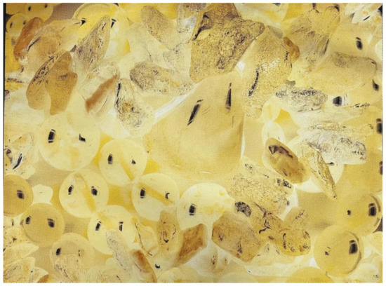 Applsci 12 00793 g0a15 550