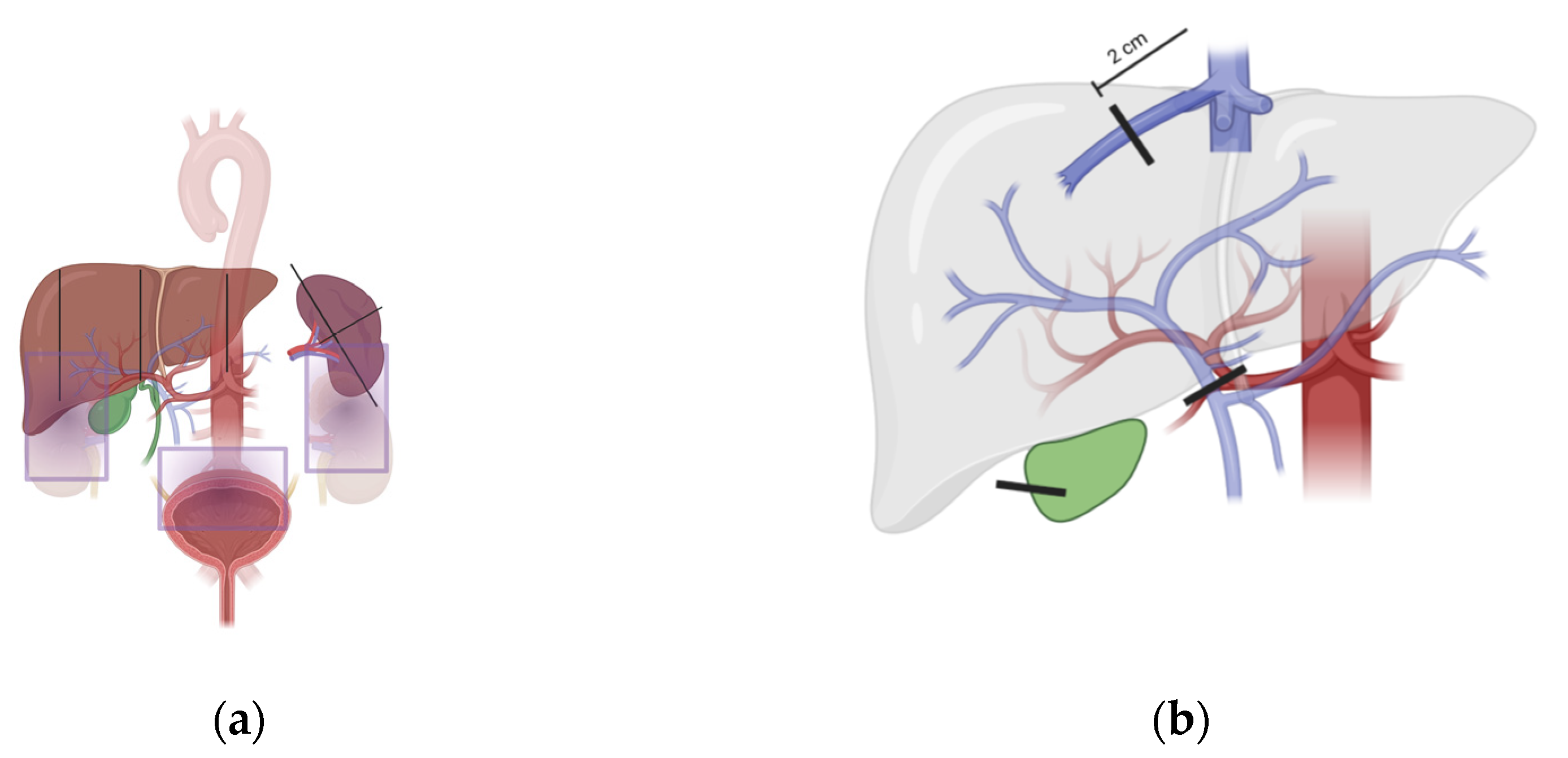 Applsci 12 00829 g001