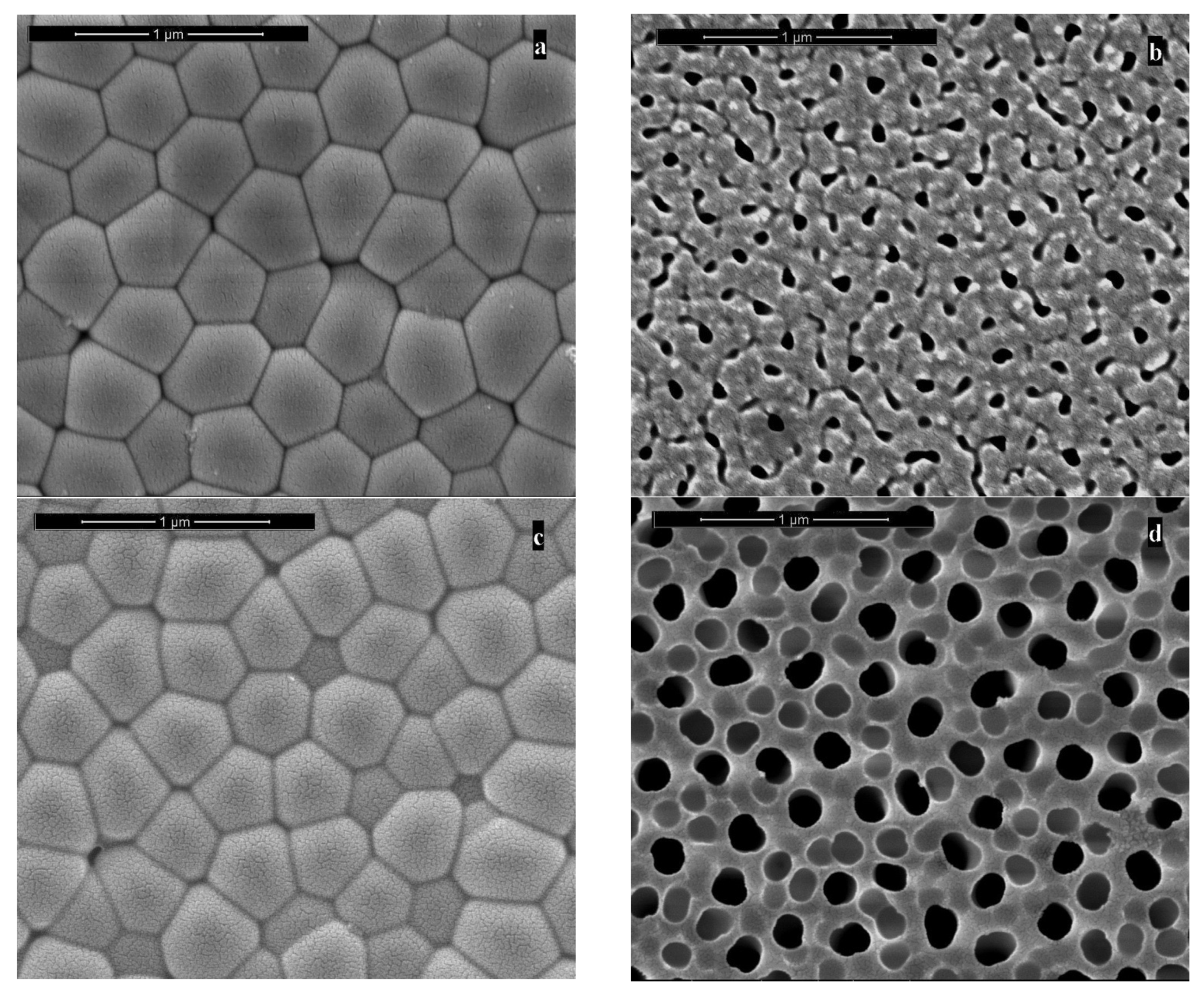 Applsci 12 00869 g003