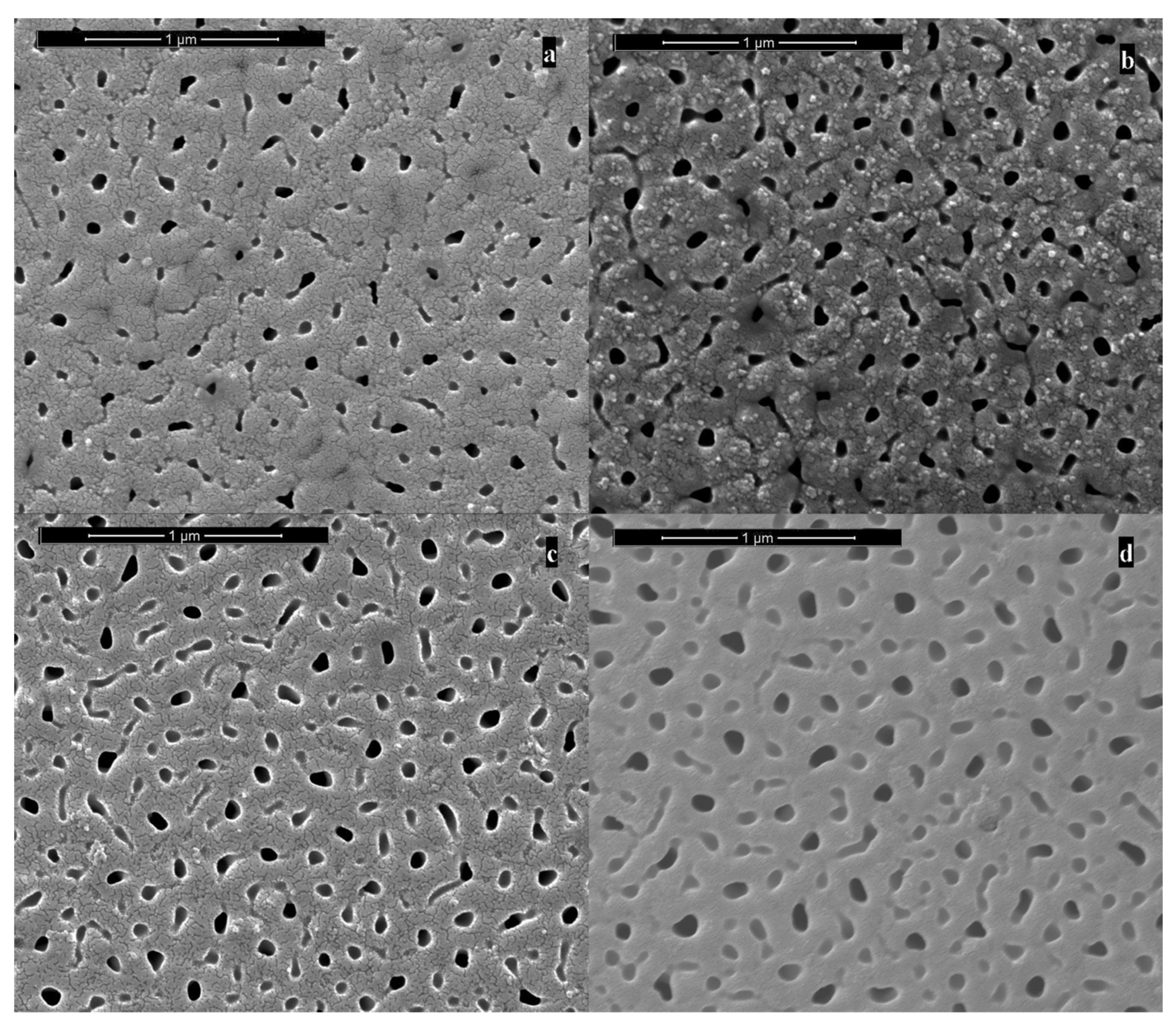 Applsci 12 00869 g006