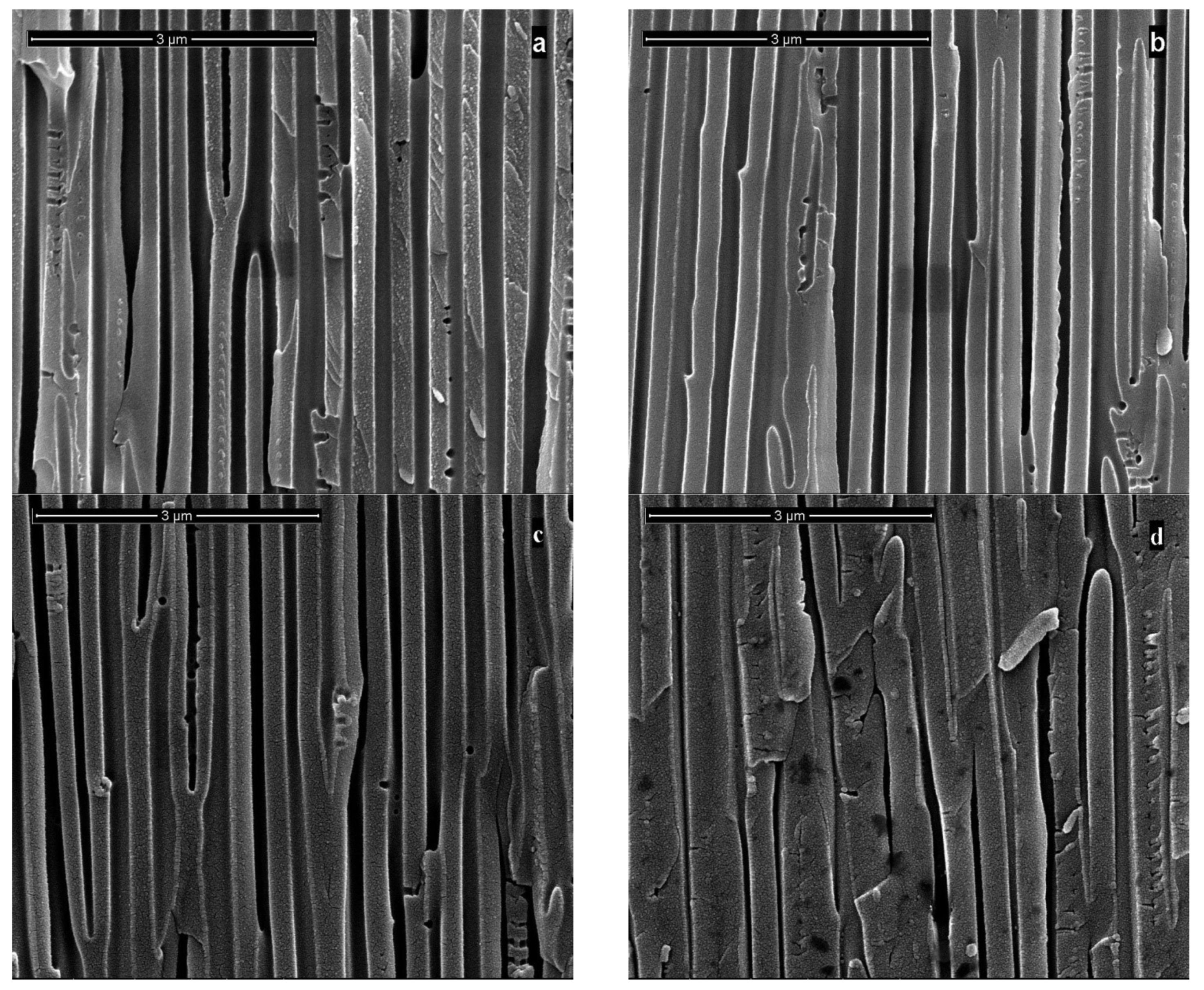 Applsci 12 00869 g008