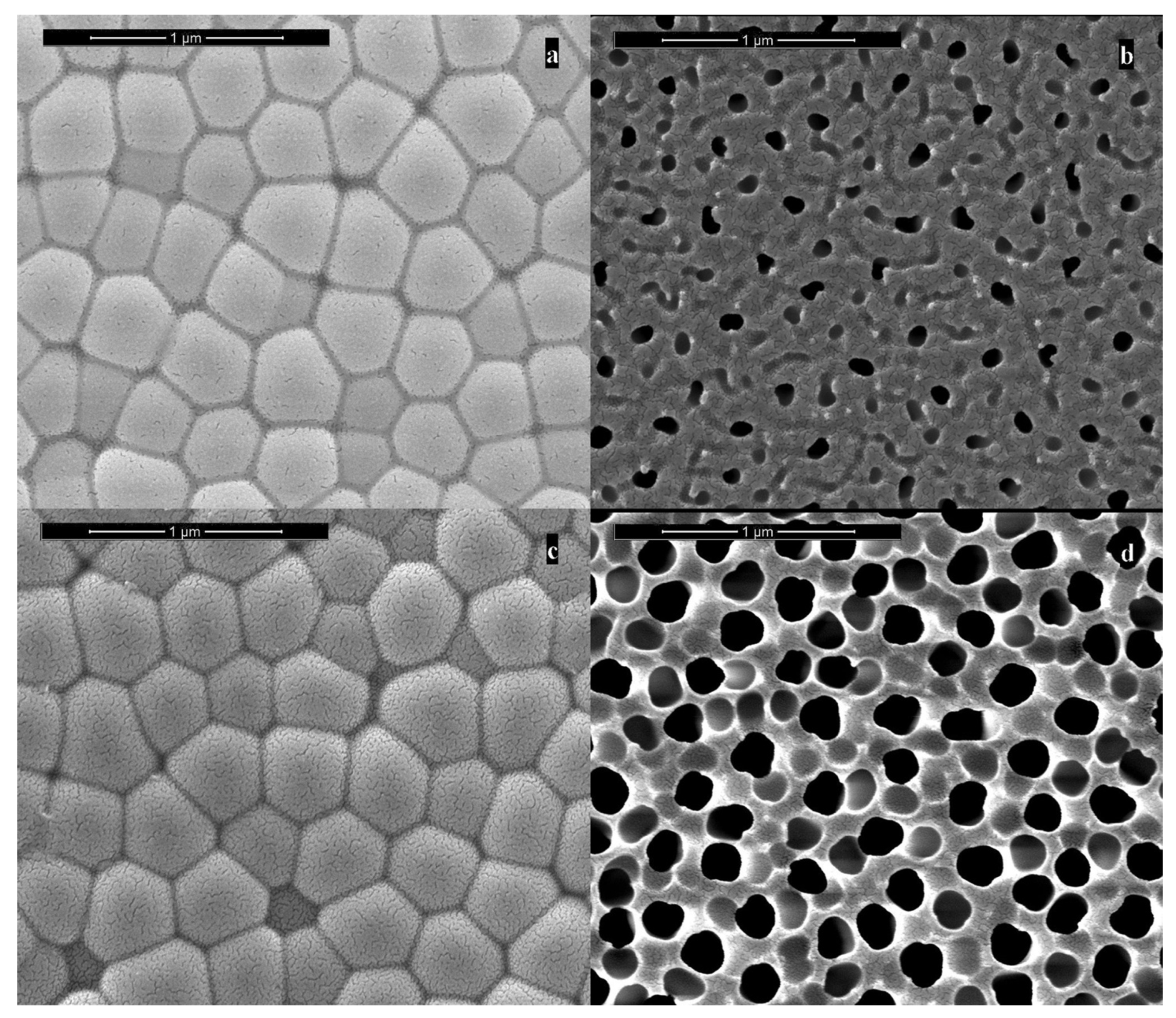 Applsci 12 00869 g009