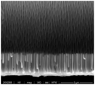 Applsci 12 00869 i001 Applsci 12 00869 i001