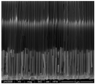 Applsci 12 00869 i004 Applsci 12 00869 i004