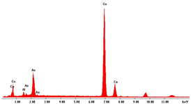 Applsci 12 00869 i005 Applsci 12 00869 i005