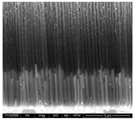 Applsci 12 00869 i007 Applsci 12 00869 i007