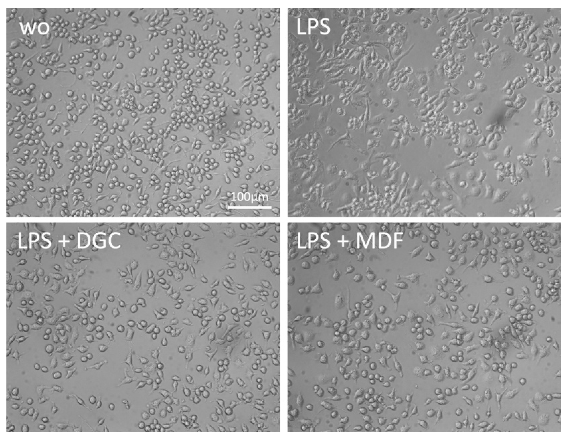 Applsci 12 00876 g001