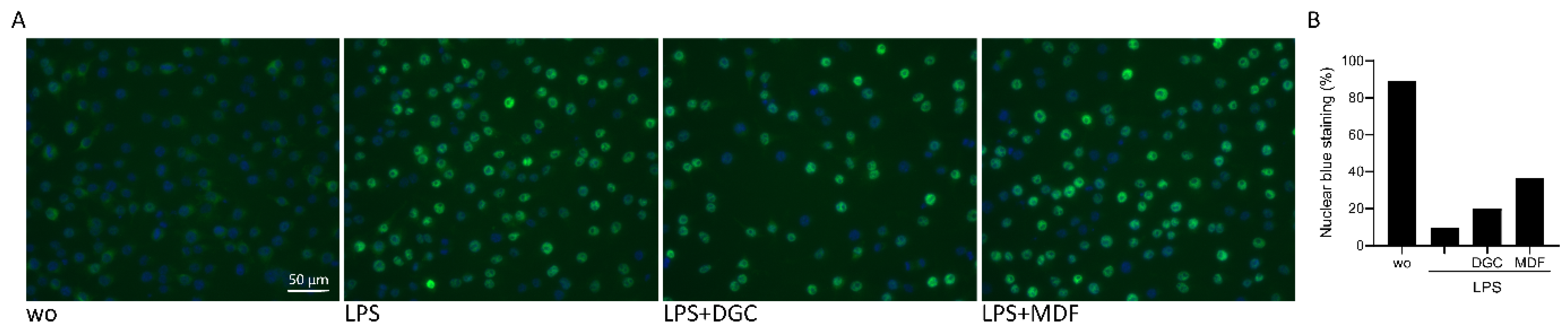 Applsci 12 00876 g003