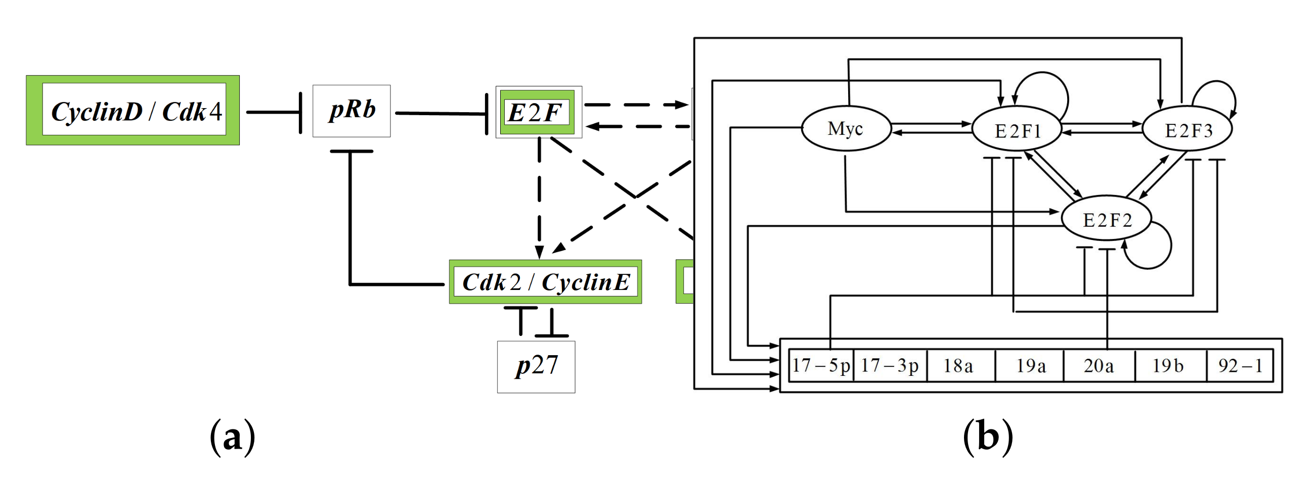 Applsci 12 00883 g003