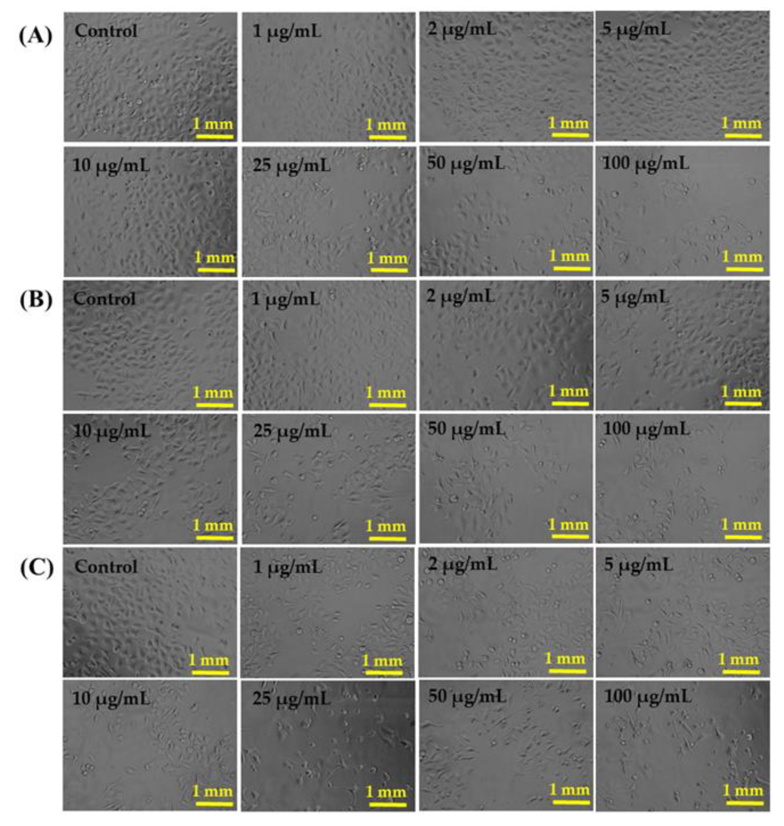 Applsci 12 00901 g004