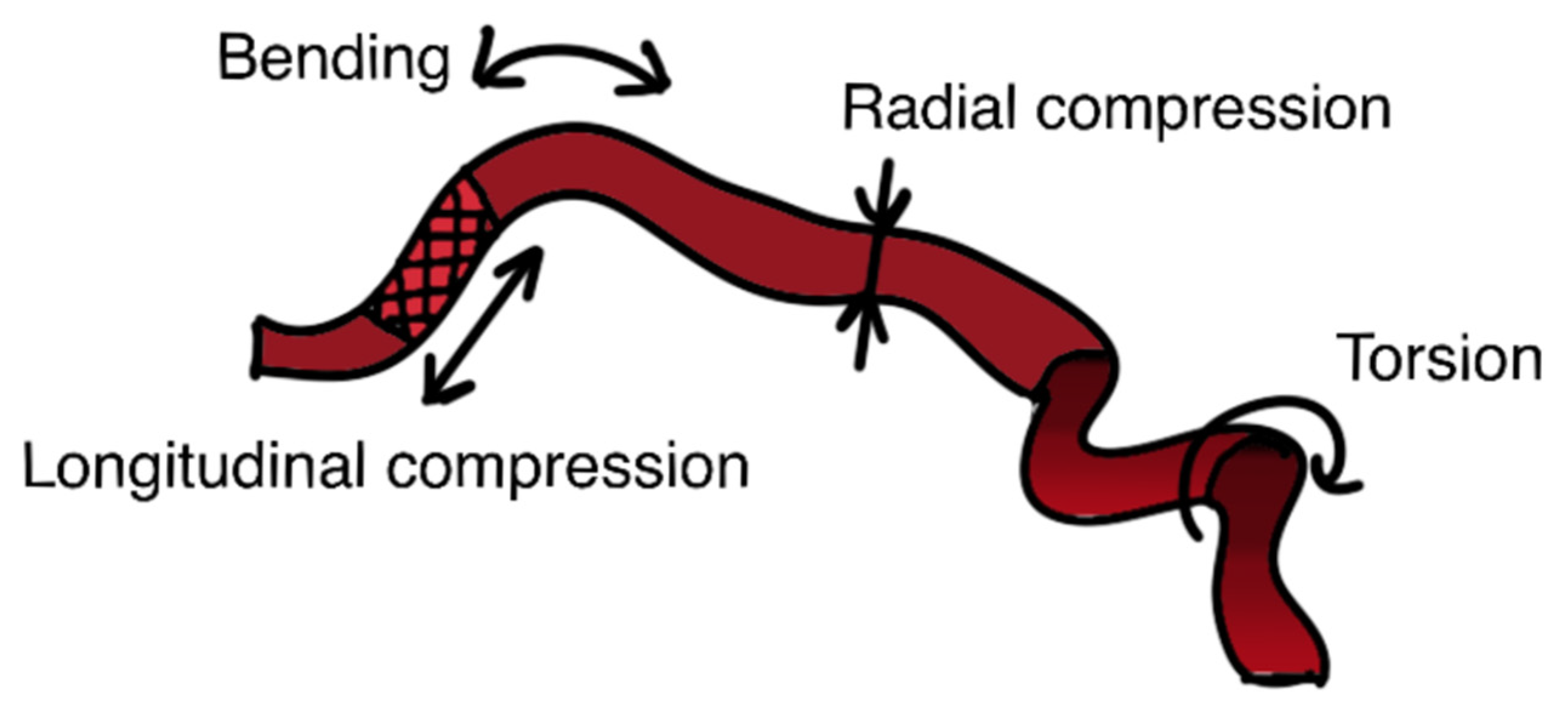 Applsci 12 00910 g001