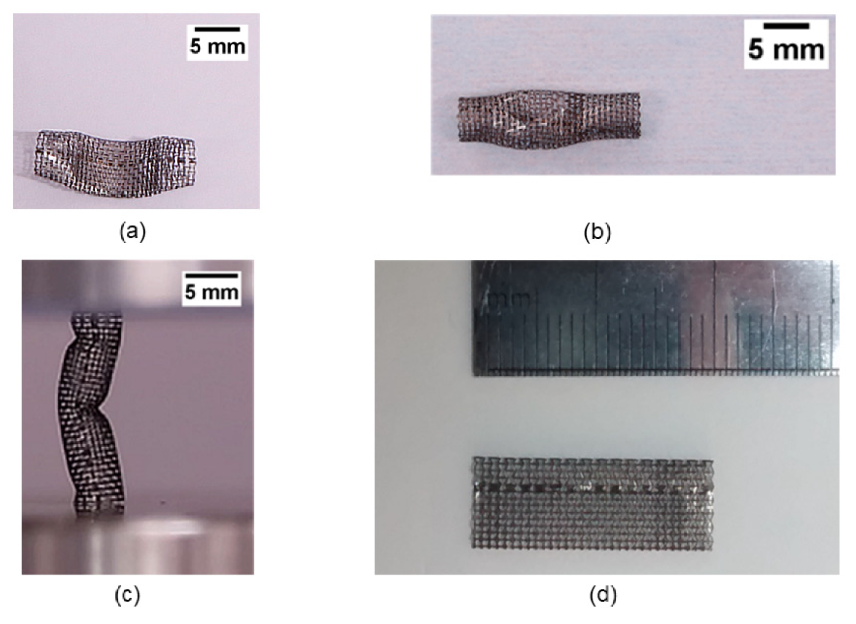 Applsci 12 00910 g006