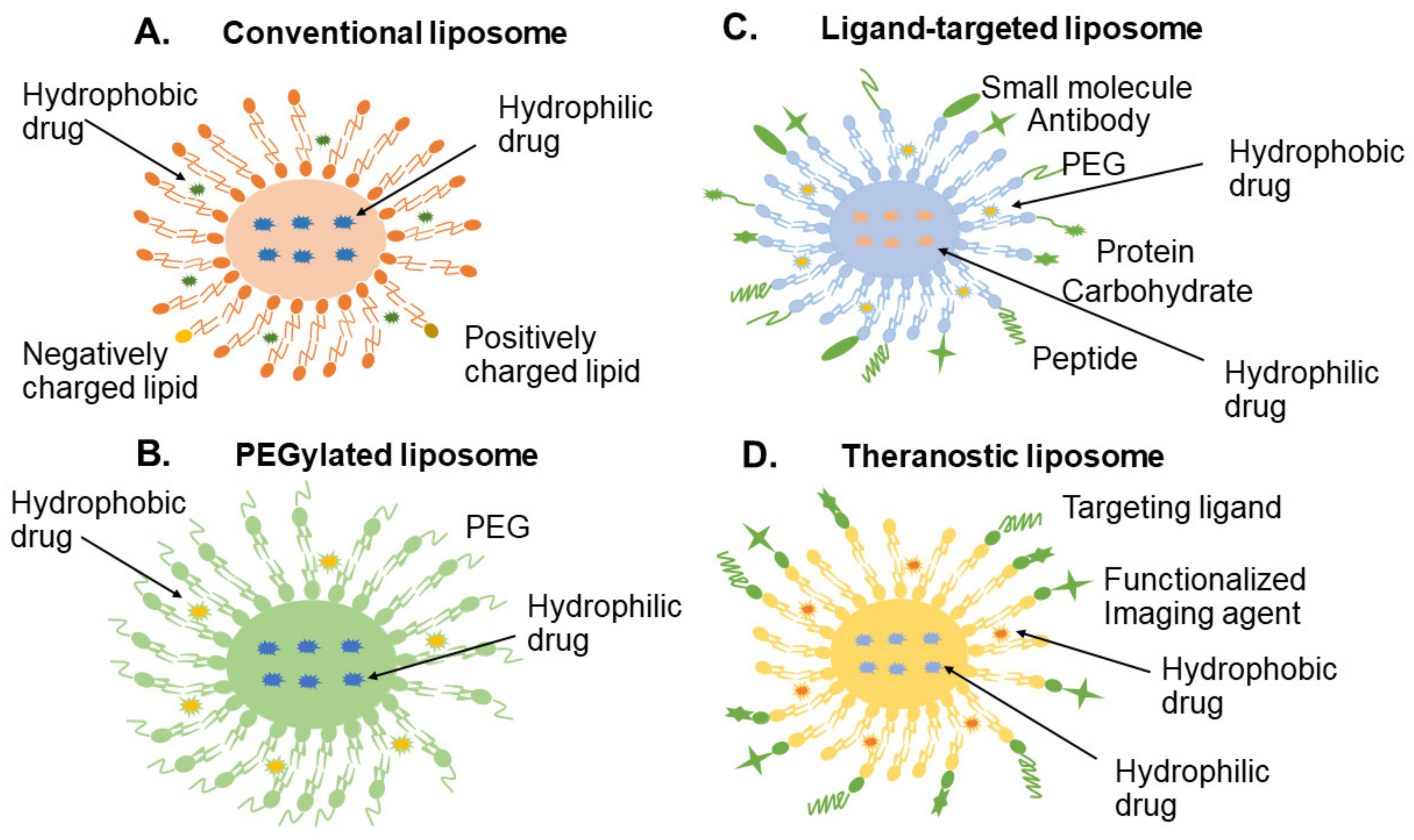 Applsci 12 00935 g002