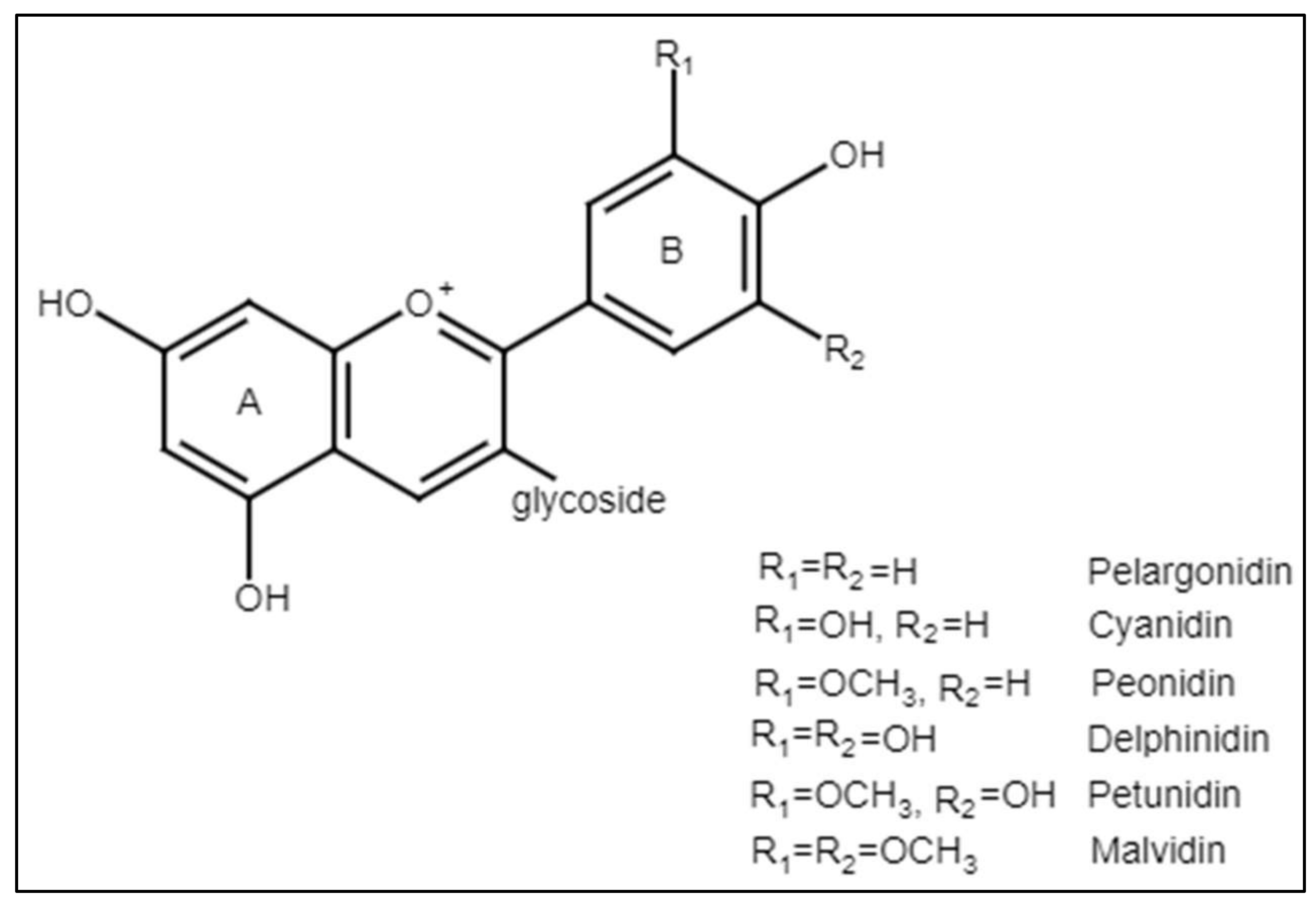 Applsci 12 00936 g001