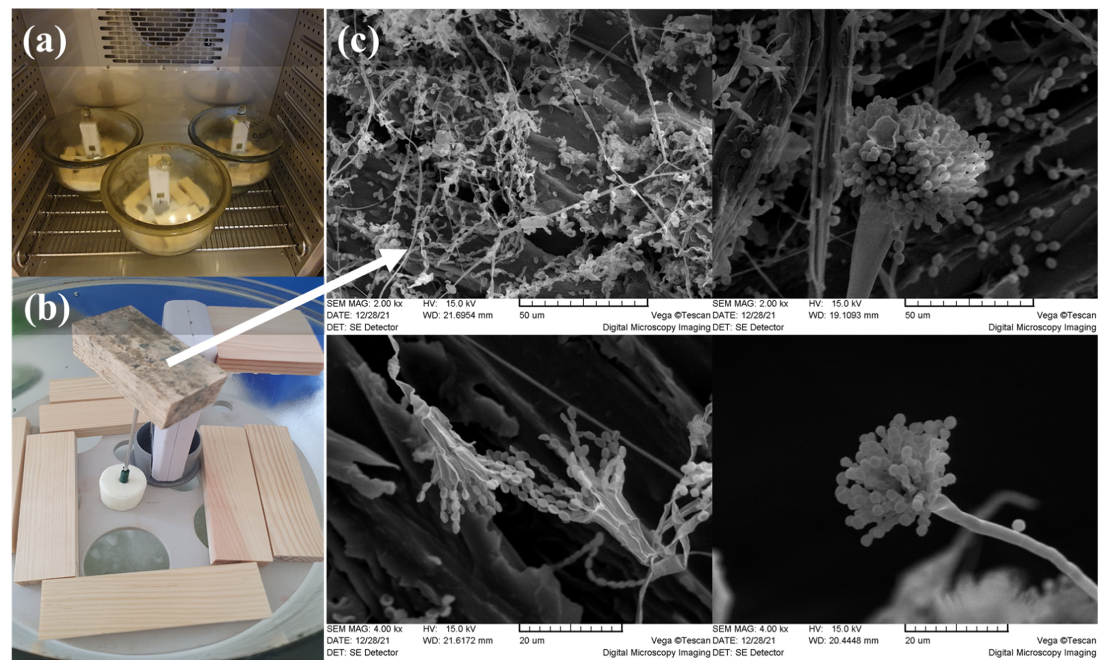 Applsci 12 00975 g001