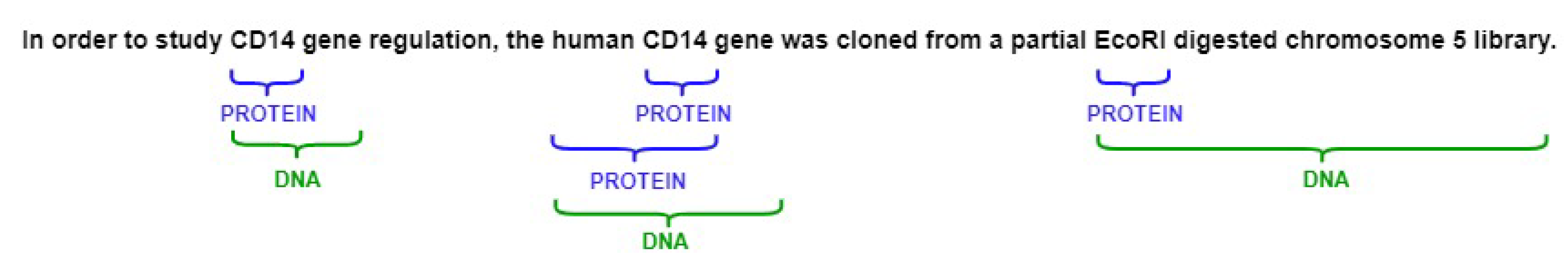 Applsci 12 00976 g001