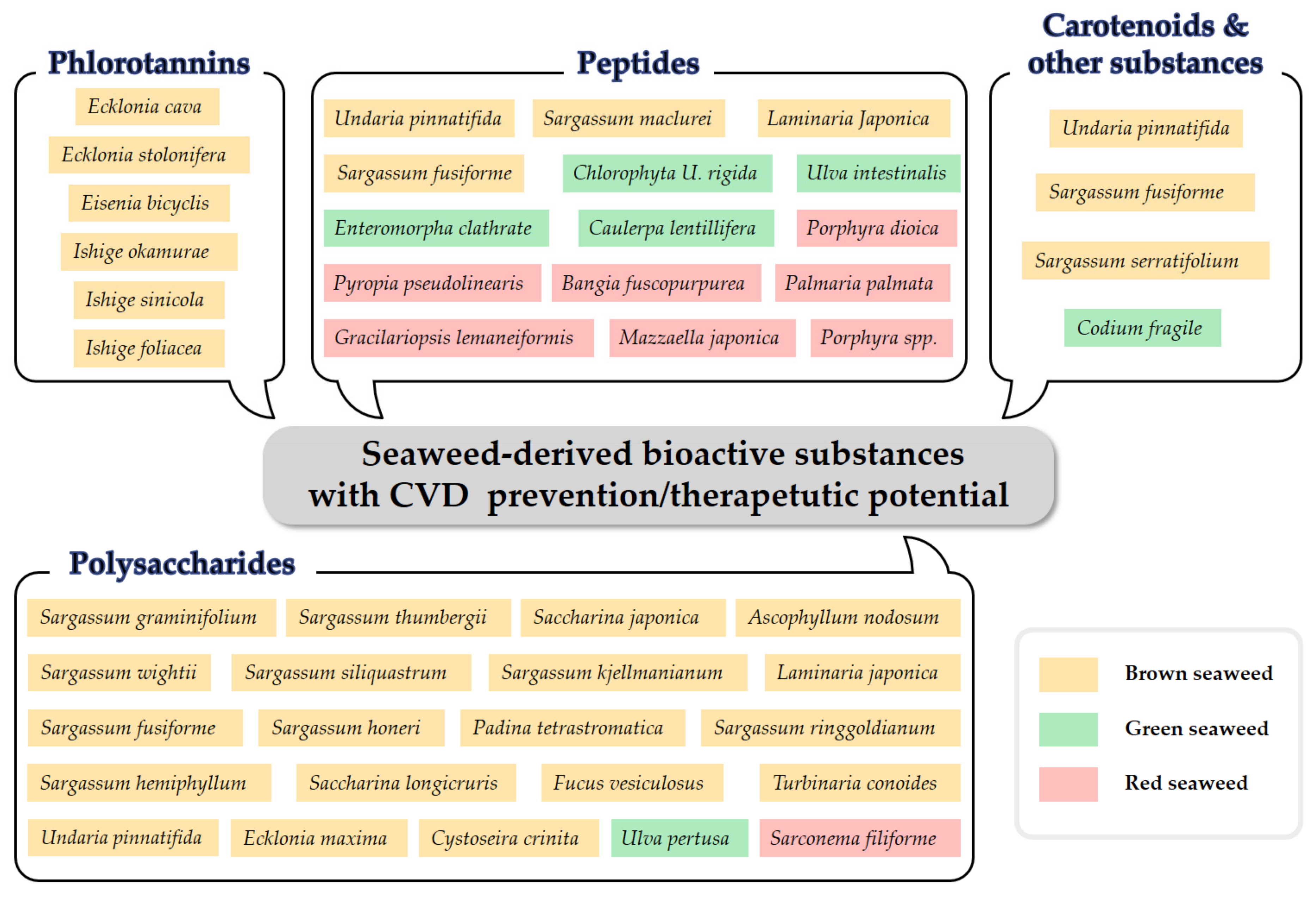 Applsci 12 01025 g001