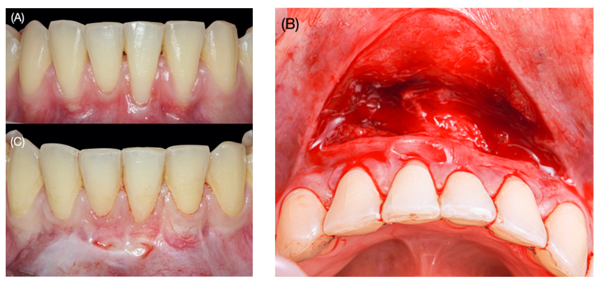 Applsci 12 01038 g002
