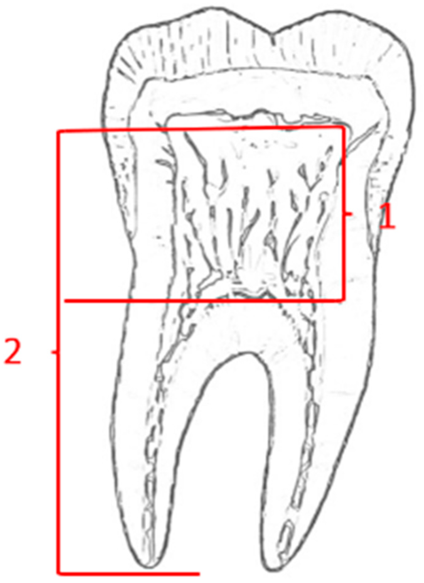 Applsci 12 01062 g001