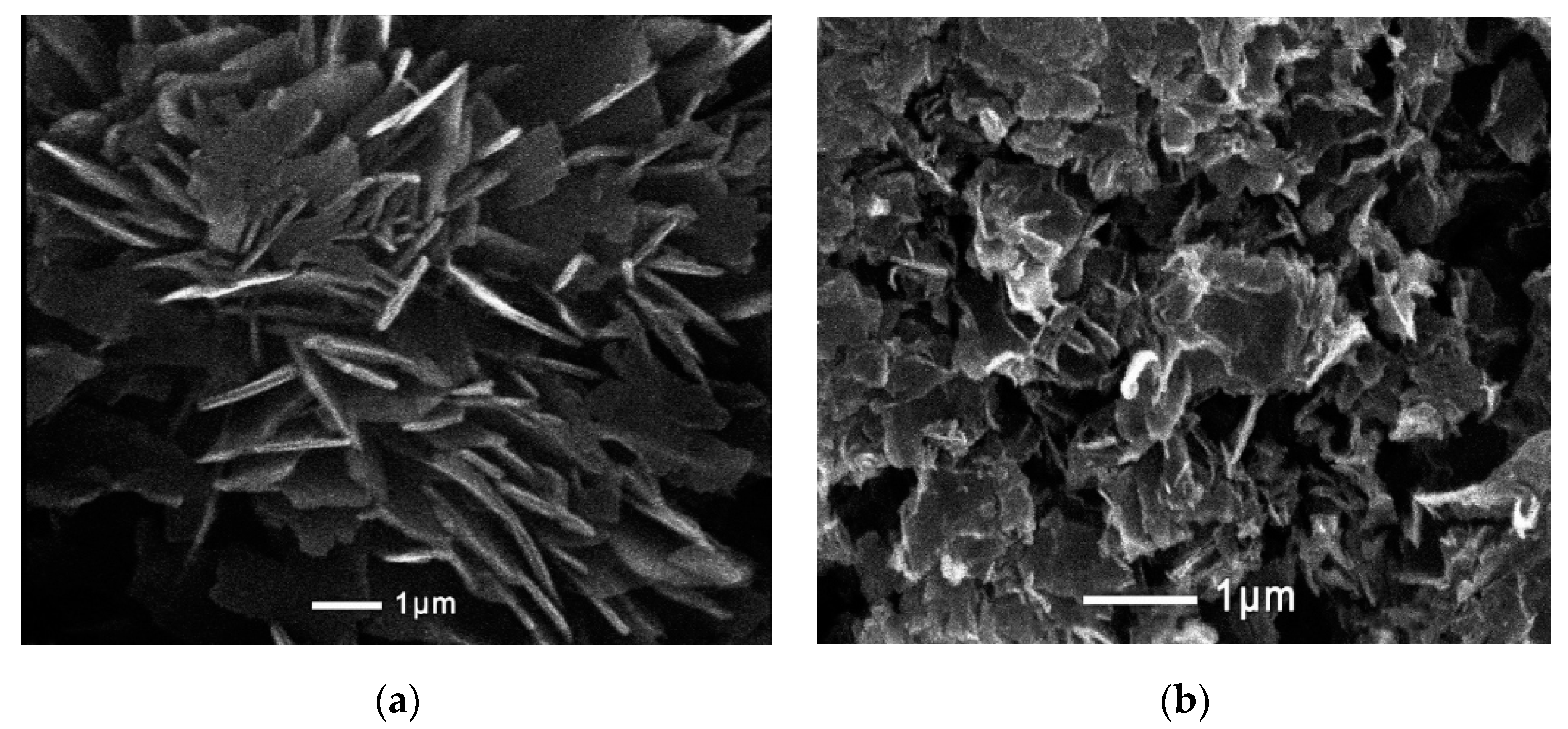 Applsci 12 01096 g003